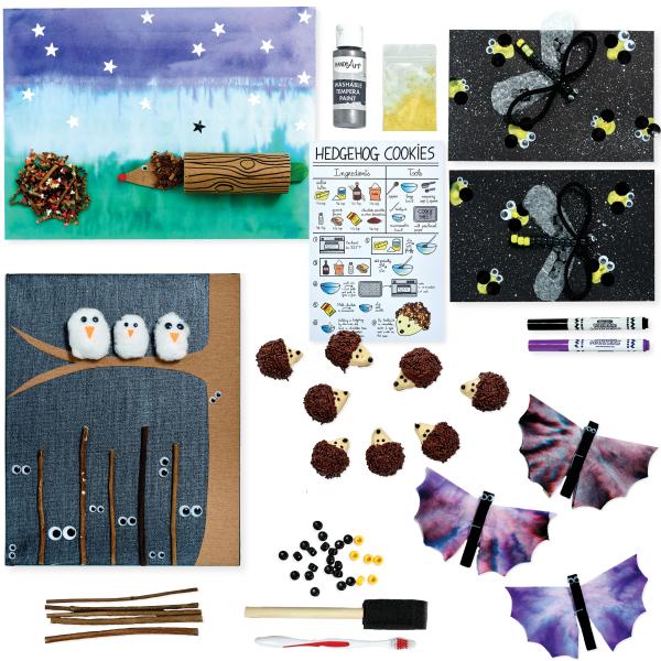 create-together-art-box/nocturnal-animals box