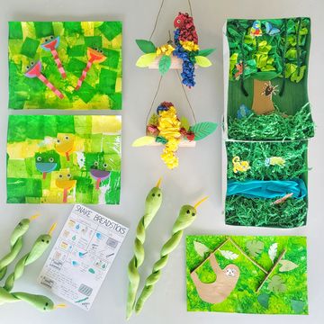 Rainforest Habitat Diorama, Kids' Crafts